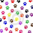 /album/fotogaleria/paw-prints-pet-dog-15093919-jpg1/